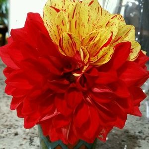 Meet your Posher, Sameera